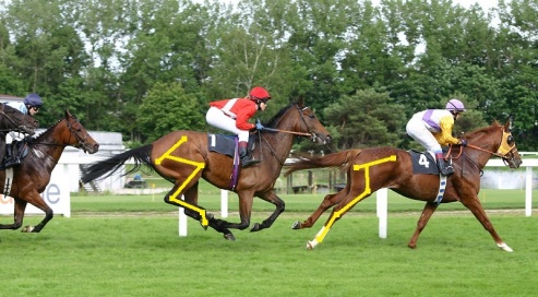 Horse-racing-3 - Hind Leg Marked - Both Horses